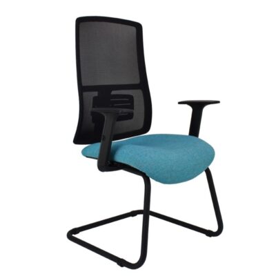 Argon Visitor Chair