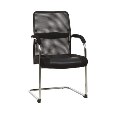 Ice Visitor Chair